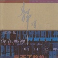 静婷 - 戏凤