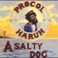 A Salty Dog