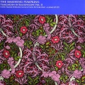 The Smashing Pumpkins - Tom Tom