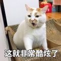 南芊 - 妻书