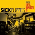 Sick Puppies - Odd One (Acoustic)
