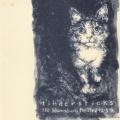 Tindersticks - el diablo en el ojo