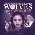 Selena Gomez、Marshmello - Wolves (Kuur X Jason Bouse Remix)