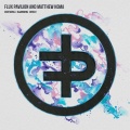 Flux Pavilion、Matthew Koma - Emotional (SaMZIng Remix)