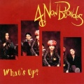 4 Non Blondes - What's Up