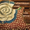 widespread panic - Tail Dragger