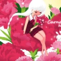 himmel - Carnation
