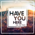 Peter Posession - Have You Here (Dimatis Remix)