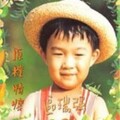 区瑞强 - 看海的日子