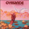 Cymande - Our Love (Will Really Get Going)