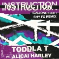 Instruction (Gallong Gal)(Shy FX Remix)