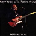 Muddy Waters - I Want To Be Loved