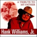 Hank Williams, Jr. - Honky Tonkin'