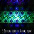 Meditation Awareness - Success