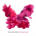 Miguel Picasso、alex gomez - Promised Land