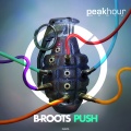 Push - In only in your Dreams