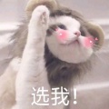 锦零 - 是风动