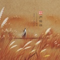申小萱 - 芦苇荡