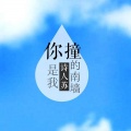 诗人苏 - 你是我撞的南墙
