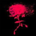 Johnathan Gould - Cupid