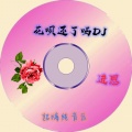 进恩哥 - 花呗还了吗DJ