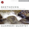 Guarneri Quartet、Ludwig van Beethoven - I. Allegro