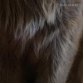 Maxi - Un Paseo