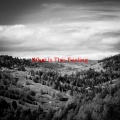 Various Artists - What Is This Feeling (Complete version originally performed by Kristin Chenoweth)