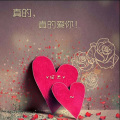 V何杰V - 真的真的爱你