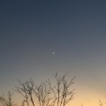 Chilly - moondance
