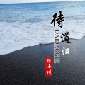 陈小川 - 待道归