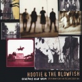 Hootie & the Blowfish、Hootie、The Blowfish - Love the One You're With (2019 Remaster(Live))
