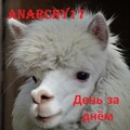 Anarchy17 - Дурацкие мечты