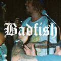 DENM - Badfish