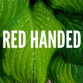 Red Handed