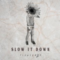Flowerboy - Slow It Down