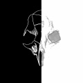 58 - White