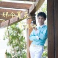 李铁刚 - 那年夏天