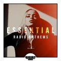 leventina - Love America (Radio Edit)