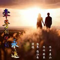 张琴、忆江南 - 牵手相伴到永远