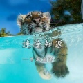 青海龙泽 - 这个年纪的爱情很卑微