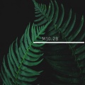 Synonyms - 10.2mb