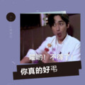 Rollya若里亚 - 你真的好弔