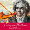 Ludwig van Beethoven 