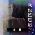 冷晨 - 我也该忘记了