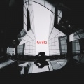 Various Artists - Grillz (Tribute version originally performed by Nelly)
