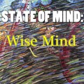 State Of Mind: Wise Mind