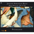 Magid El-Bushra、Pygmalion、Raphaël Pichon、Eugénie Warnier、Emiliano Gonzalez Toro、Sydney Fierro - Missa brevis in A Major, BWV 234: III. Domine Deus