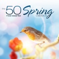 SWR Symphony Orchestra - Molto vivace