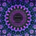 Max Vertigo、SevenEver - Try to Feel (Nopopstar Remix)